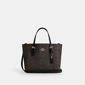 Coach Brown Mollie Tote 25 Bag